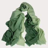 Matcha to Malachite Shaded Cashmere and Silk Wrap